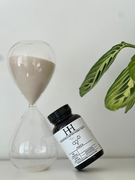 Maca - 60 Capsules