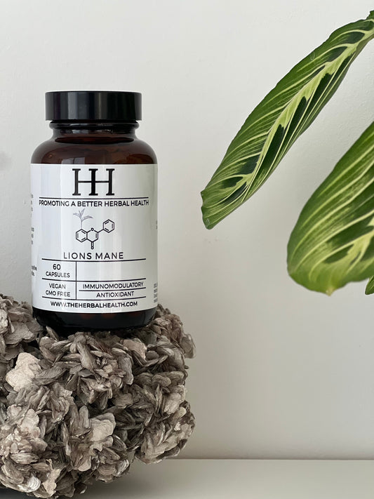 Lions mane - 60 Capsules